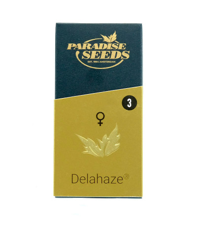 Семена сорта Delahaze fem (Paradise Seeds)