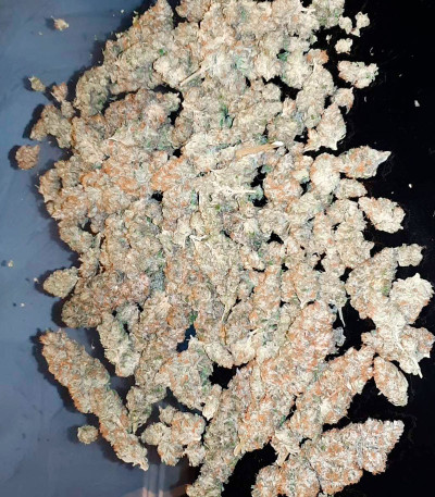 Семена сорта Strawberry Amnesia fem (Herbies Seeds)