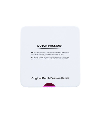 Семена сорта Auto Mokum's Tulip fem (Dutch Passion)