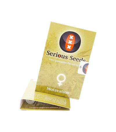 Семена сорта Motavation fem (Serious Seeds)