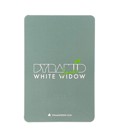 Семена сорта White Widow fem (Pyramid Seeds)
