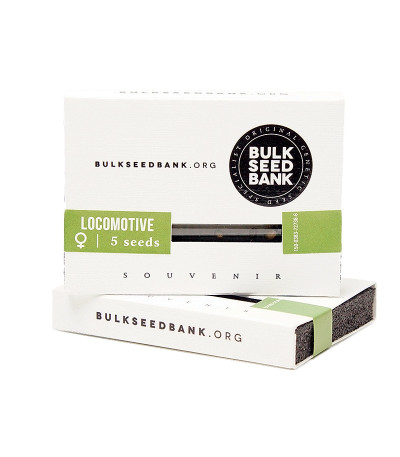 Семена сорта Locomotive fem