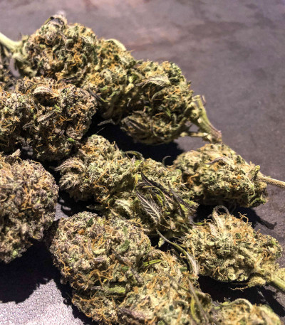 Семена сорта Cream Cookies auto fem (FastBuds)