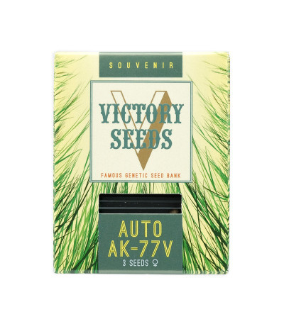 Семена сорта Auto AK-77V fem (Victory Seeds)