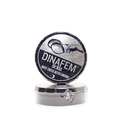 Семена сорта White Cheese Autoflowering fem (Dinafem Seeds)