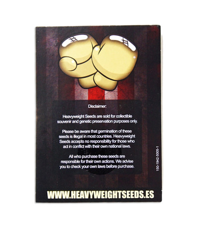 Семена сорта Fast & Vast Auto fem (Heavyweight Seeds)