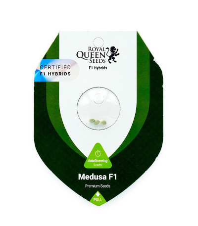 Семена сорта Medusa F1 Auto fem (RQS)