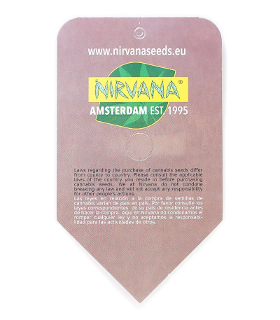 Семена сорта Ice reg (Nirvana Seeds)