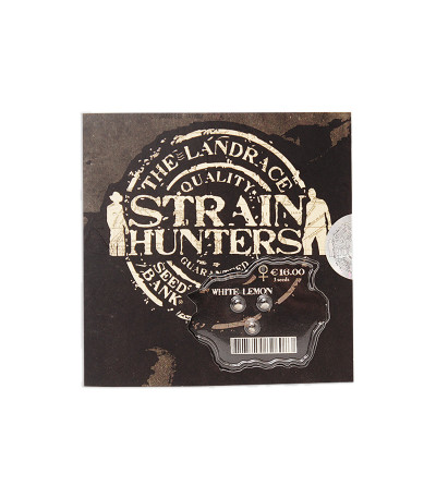 Семена сорта White Lemon fem (Strain Hunters)