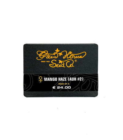 Семена сорта Mango Haze fem