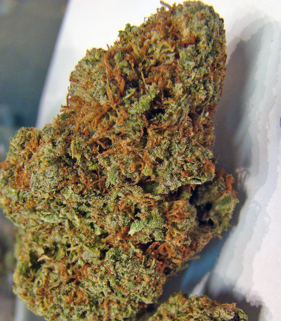 Семена конопли Red Cherry Berry