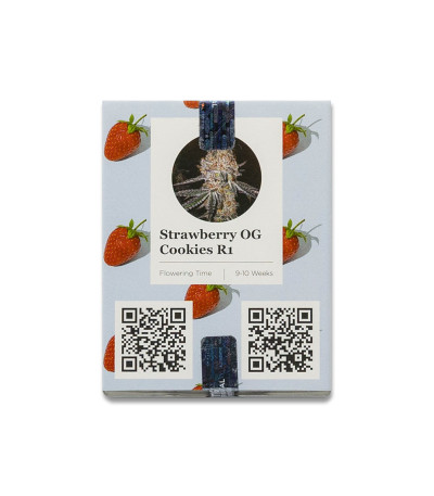 Семена сорта Strawberry OG Cookies R1 fem (Ethos Genetics)