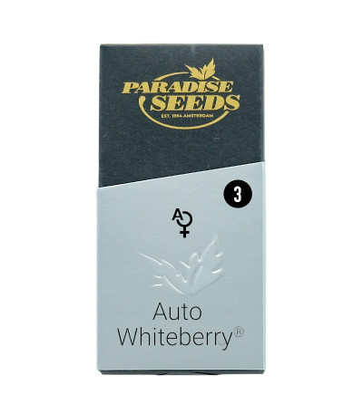 Семена сорта Auto Whiteberry fem (Paradise Seeds)