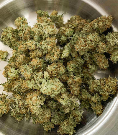 Семена сорта Glue Sherbert fem (AlphaFem Seeds)