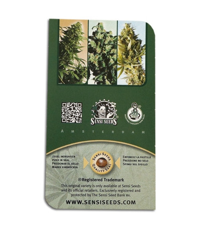 Семена сорта Northern Lights 5 X Haze fem (Sensi Seeds)