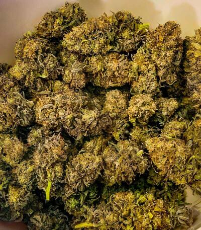 Семена сорта Watermelon Zum Zum fem (UKHTA)