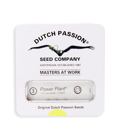 Семена сорта Power Plant fem (Dutch Passion)