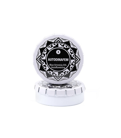 Семена сорта Blue Amnesia XXL Autoflowering fem