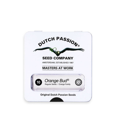 Семена сорта Orange Bud reg (Dutch Passion)