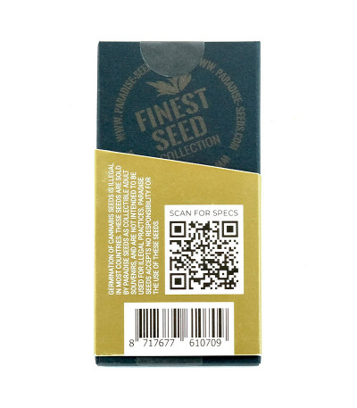 Семена сорта Sweet Purple fem (Paradise Seeds)