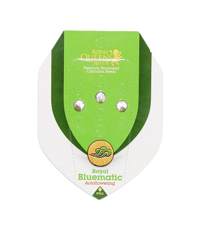 Семена сорта Royal Bluematic Auto fem (Royal Queen Seeds)