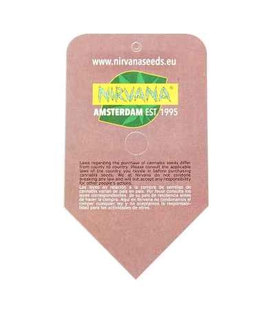 Семена сорта Sterling Haze (Super Silver Haze) reg (Nirvana Seeds)