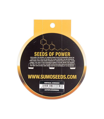 Семена сорта Critical Chronic Auto fem (Sumo Seeds)