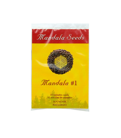 Семена сорта Mandala #1 reg