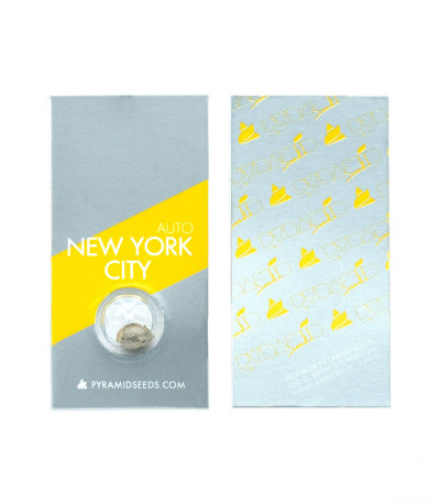 Семена сорта Auto New York City (Pyramid Seeds)