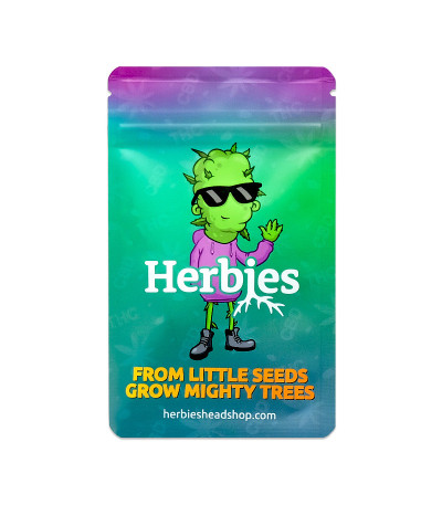 Семена сорта Za-Za OG fem (Herbies Seeds)