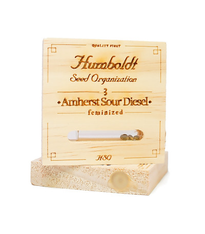 Amherst Sour Diesel fem Humboldt Seeds