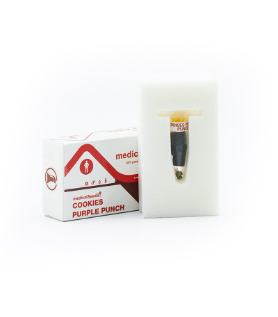 Семена сорта Cookies Purple Punch fem (Medical Seeds)