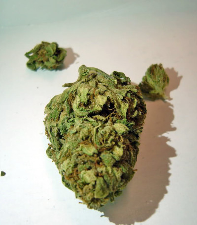 Семена сорта Auto 00 Kush fem (00 Seeds)