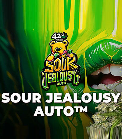 Семена сорта Sour Jealousy Auto fem (FastBuds)