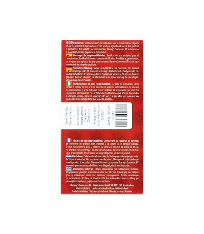 Семена сорта Watermelon Zkittlez Auto fem