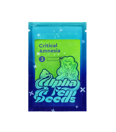 Семена сорта Critical Amnesia fem (AlphaFem Seeds)