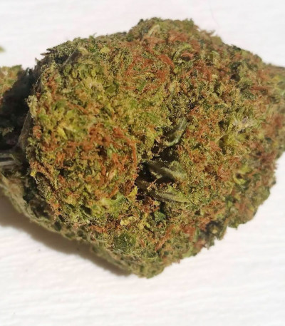 Семена сорта Raspberry Cough reg (Nirvana Seeds)