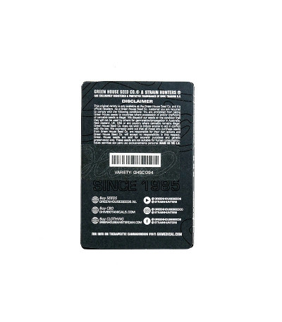 Семена сорта Franco's Lemon Cheese fem (Green House Seeds)