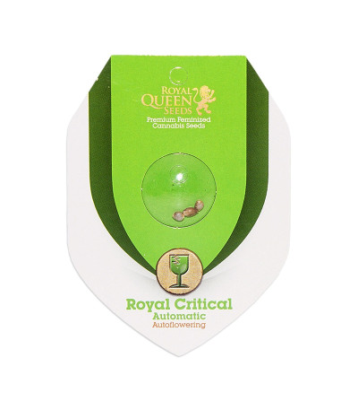 Семена сорта Royal Critical Automatic fem (Royal Queen Seeds)