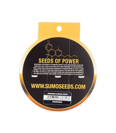 Семена сорта Amnesia Ganja Haze fem (Sumo Seeds)