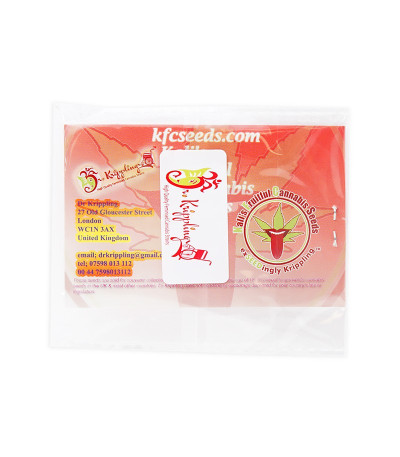 Семена сорта Cheesy Mist Tree fem (KFC Seeds)