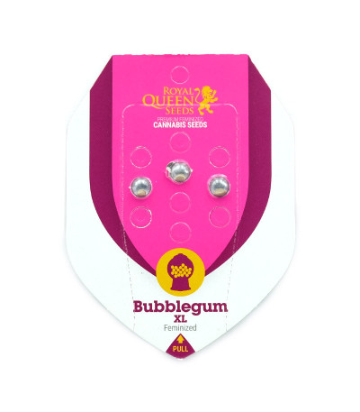 Семена сорта Bubblegum XL fem (Royal Queen Seeds)