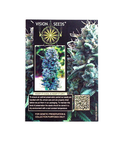 Семена сорта Silver Haze fem (Vision Seeds)