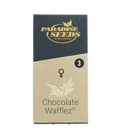 Семена сорта Chocolate Wafflez fem
