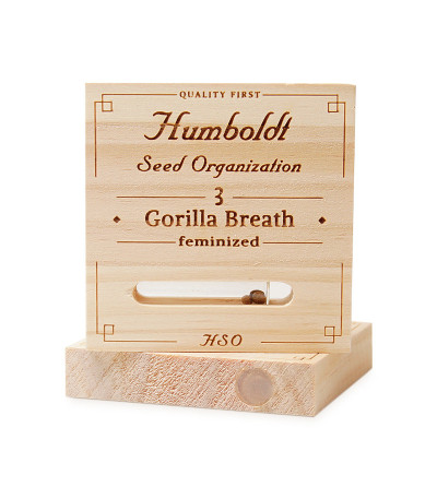 Семена сорта Gorilla Breath fem (Humboldt Seeds)