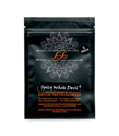 Семена сорта Spicy White Devil fem (Samsara Seeds)