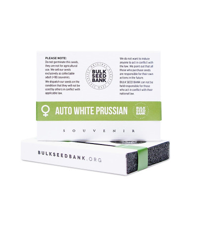 Семена сорта Auto White Prussian fem