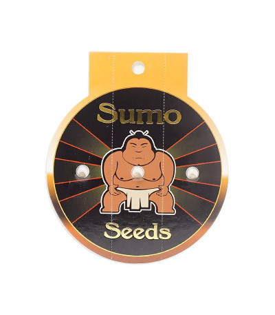 Семена сорта Sumo's Big Bud fem (Sumo Seeds)