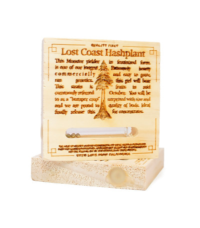 Семена сорта Lost Coast Hash Plant fem