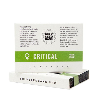 Семена каннабиса Critical в оригинальной упаковке